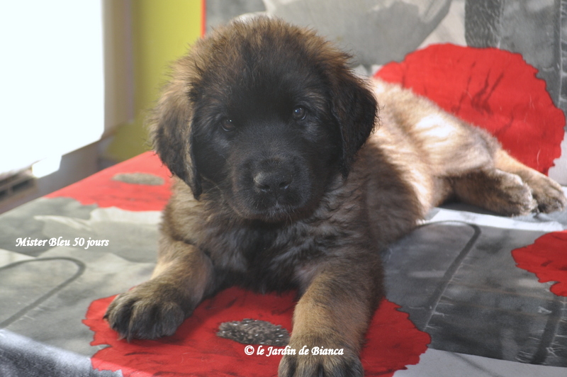 Une bouille à bisous