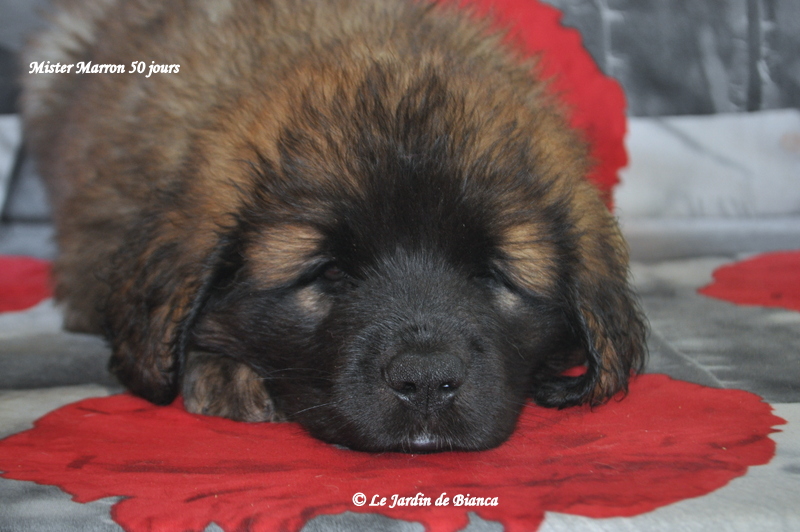 Rhoooo la bouille!