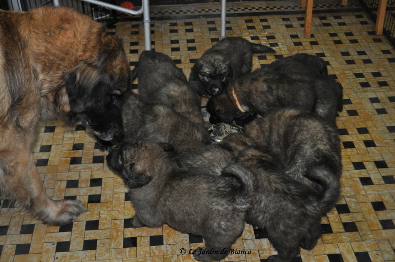 DSC_0074-001