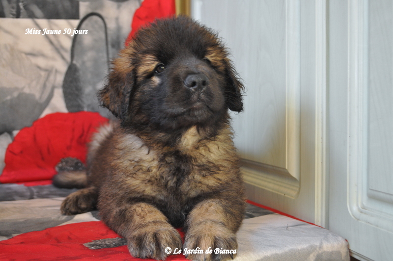 et puis je prend la pose ♥ 