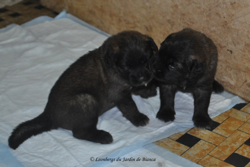 un bisou ?