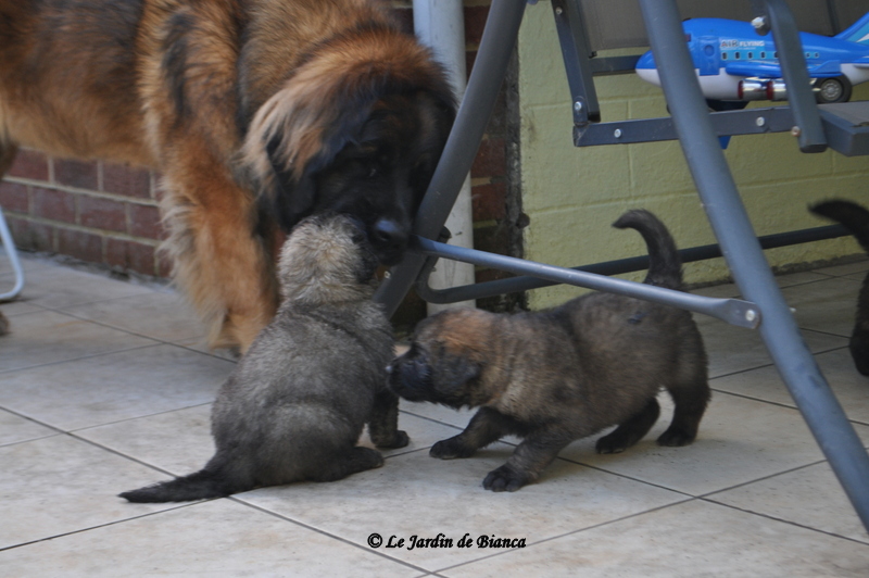 Des bisous ,des bisous 