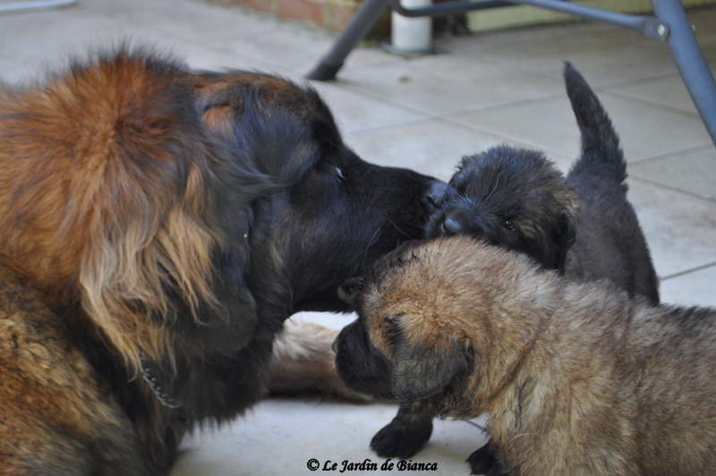Re-re bisous!