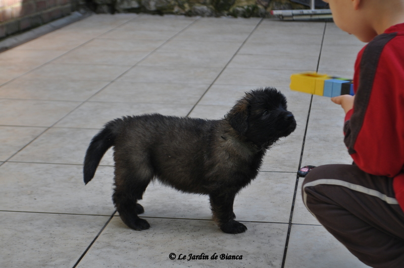 petite choupinette