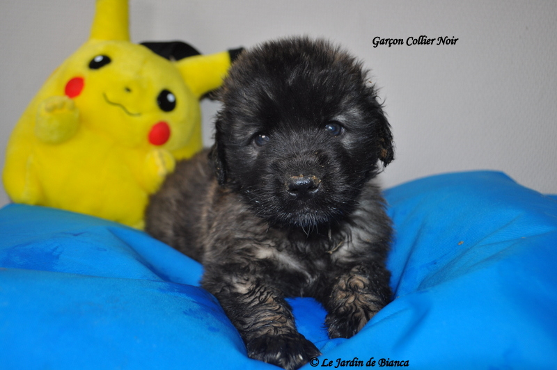 Dsc 1112